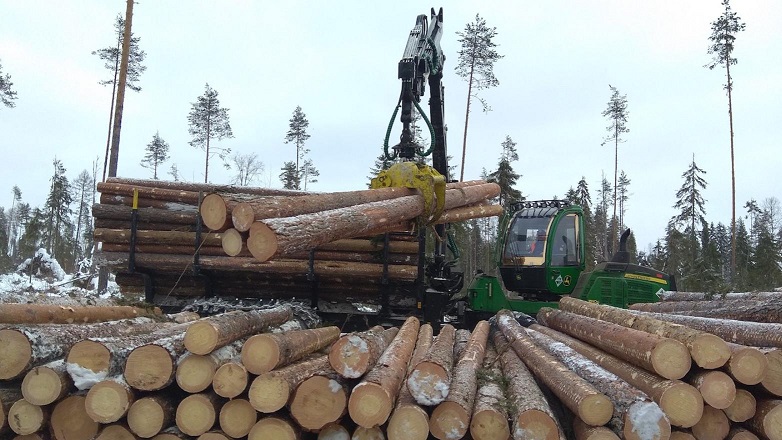 USTYANSKIY (ULK GROUP) TIMBER FROM RUSSIA