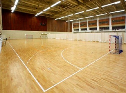 Sports hall floor by ME Industries