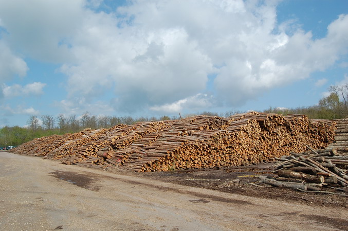 US WOODY BIOMASS prices have dropped the past three years; west coast prices are the lowest in the country, reports the North American Wood