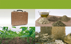 8th Conference of the European Industrial Hemp Association (EIHA), May 18th-19th, 2011, Wesseling, Germany