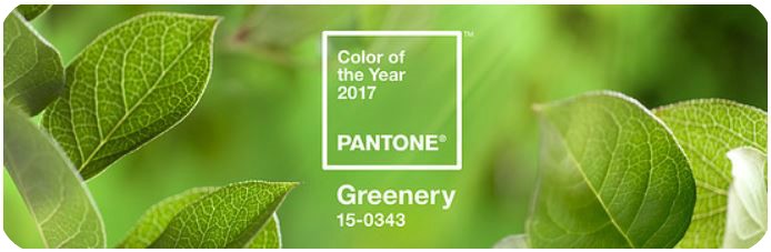 PERSPEX: Pantone names Greenery as its 2017 colour of the year