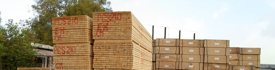 STRONGWOOD IMP-EXP. & TRADING FOR WOOD IN UAE