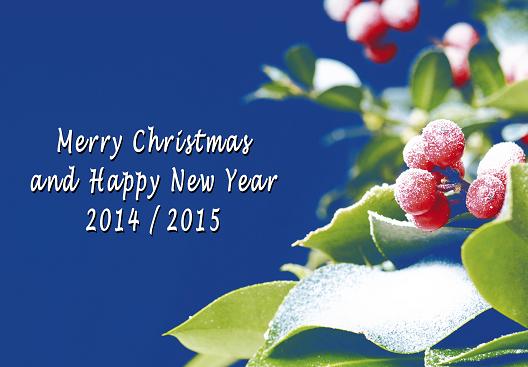 I migliori auguri di Buon Natale e prospero anno 2015. In servizio news  sospeso e riprender Luned 5 Gennaio 2015. 