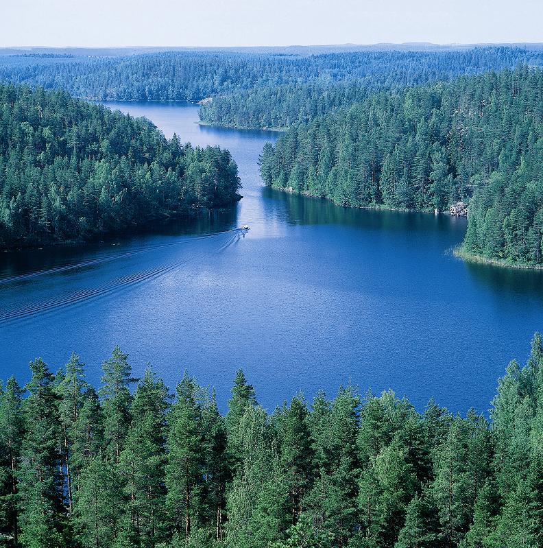 Леса в финляндии