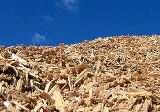In United Sates of America, Coalition announces Biomass101 campaign.